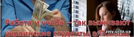Как выжить в Польше украинцу: работа плюс учёба
