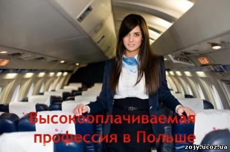 Кассир авиа кассы и стюардесса, так же имеют хорошо оплачиваемую работу в Европе . Работа в Польше