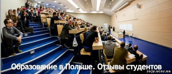 Образование в Польше. Отзывы студентов