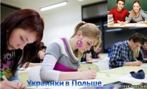 Система обучения в Польше