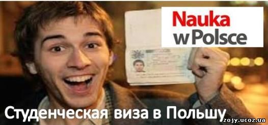 Визы и страховки