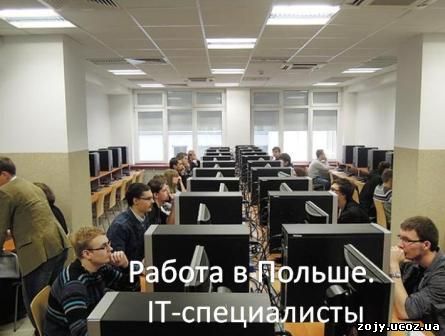 наиболее востребованных работников в Польше