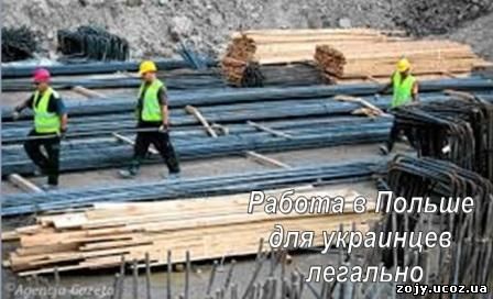Трудовые мигранты или на работу в Польшу. Временное место жительства