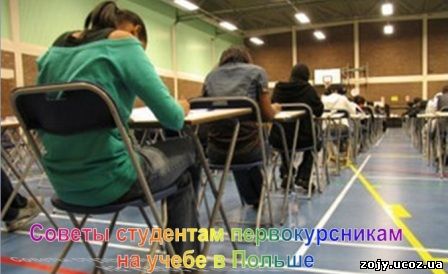 Советы студентам первокурсникам. Образование в Польше. Советы студентам первокурсникам