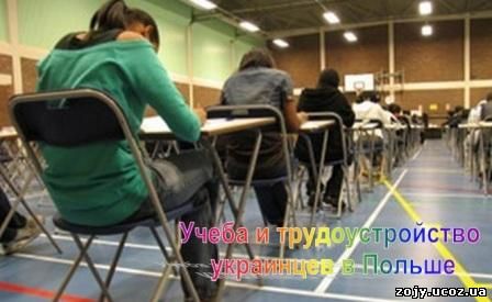Учеба и трудоустройство украинцев в Польше
