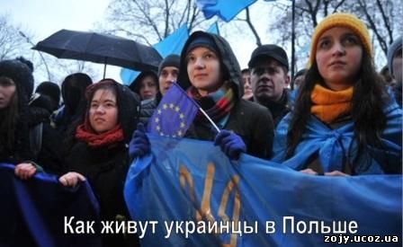 Как живут украинцы в Польше. Отзывы очевидцев