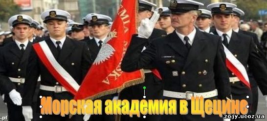 Высшее образование в Польше бесплатно