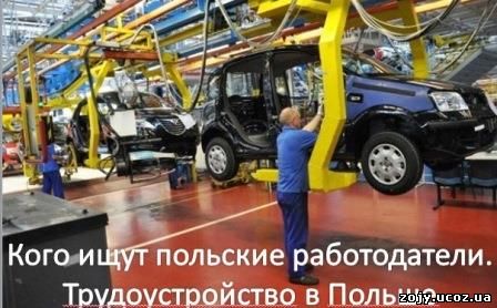 Трудоустройство в Польше. Кого ищут работодатели