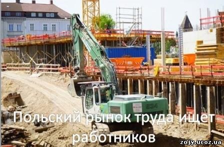 Трудоустройство в Польше. Кого ищут работодатели