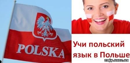 Если Вы серьезно намерены взяться за изучение польского языка, а это дело, скажу я вам, не из легких, советую сначала ознакомиться с основными особенностями польского алфавита.