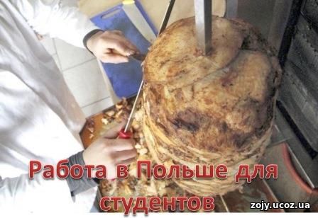 Работа и учеба в Польше для украинцев