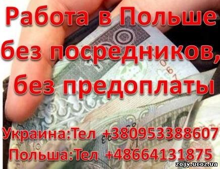 Работа в Польше без посредников