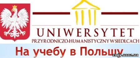 учиться в Польше