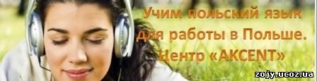 Как быстро и эффективно выучить польский язык