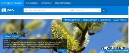 Изучение польского языка самостоятельно бесплатно - http://sjp.pwn.pl/