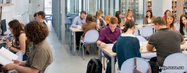 Основные образовательные проблемы молодежи польского происхождения