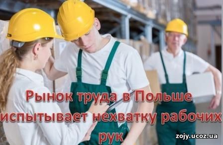 Сезонная работа на рынке труда в Польше