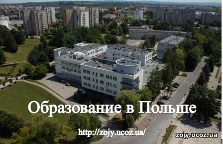 Университет информацилнніх технологий. Недостатки обучения в престижном ВУЗе мира