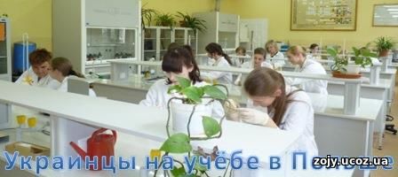 Техникум: химические выбросы и охрана окружающей Среды