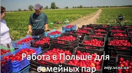 Работа в Польше для семейных пар