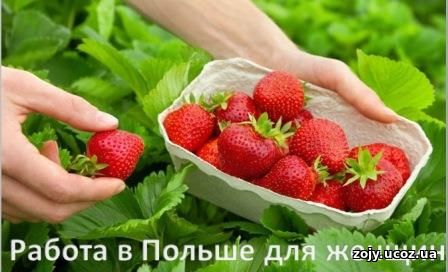 Работа в Польше для женщин