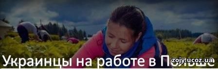 Польша: работа без посредников отзывы украинцев