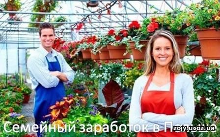 Работа в Польше для семейных пар по биометрическому паспорту