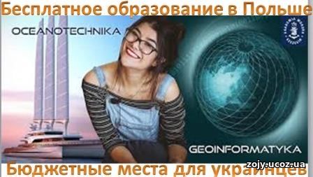 Стоимость обучения в Польше: бесплатно