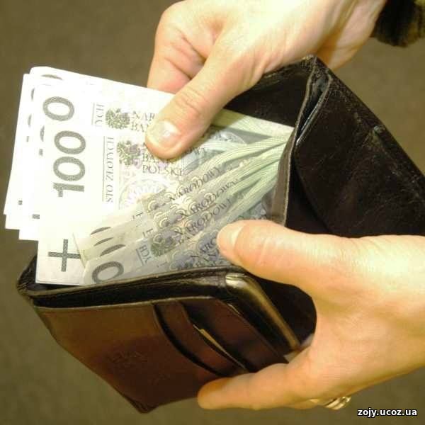 Польская минимальная зарплата 2019 составит 2 220 злотых