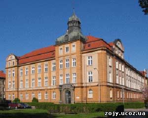Бесплатное образование в Польше